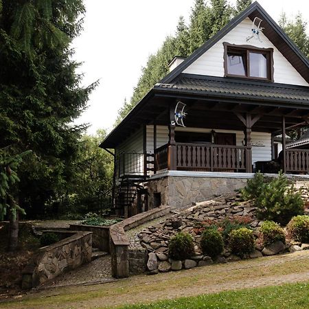 Dom Malowany Wetlina Exterior photo